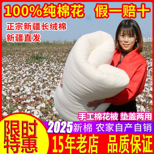 新疆2024新棉一级长绒棉花100%棉