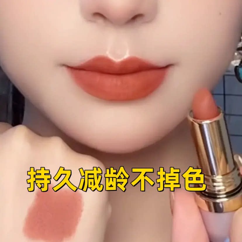 【官方正品】大牌复古姨妈色口红女显白不掉色不沾杯防水哑光保湿