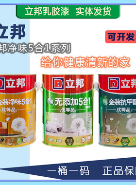 立邦抗甲醛竹炭金装五合一5合1