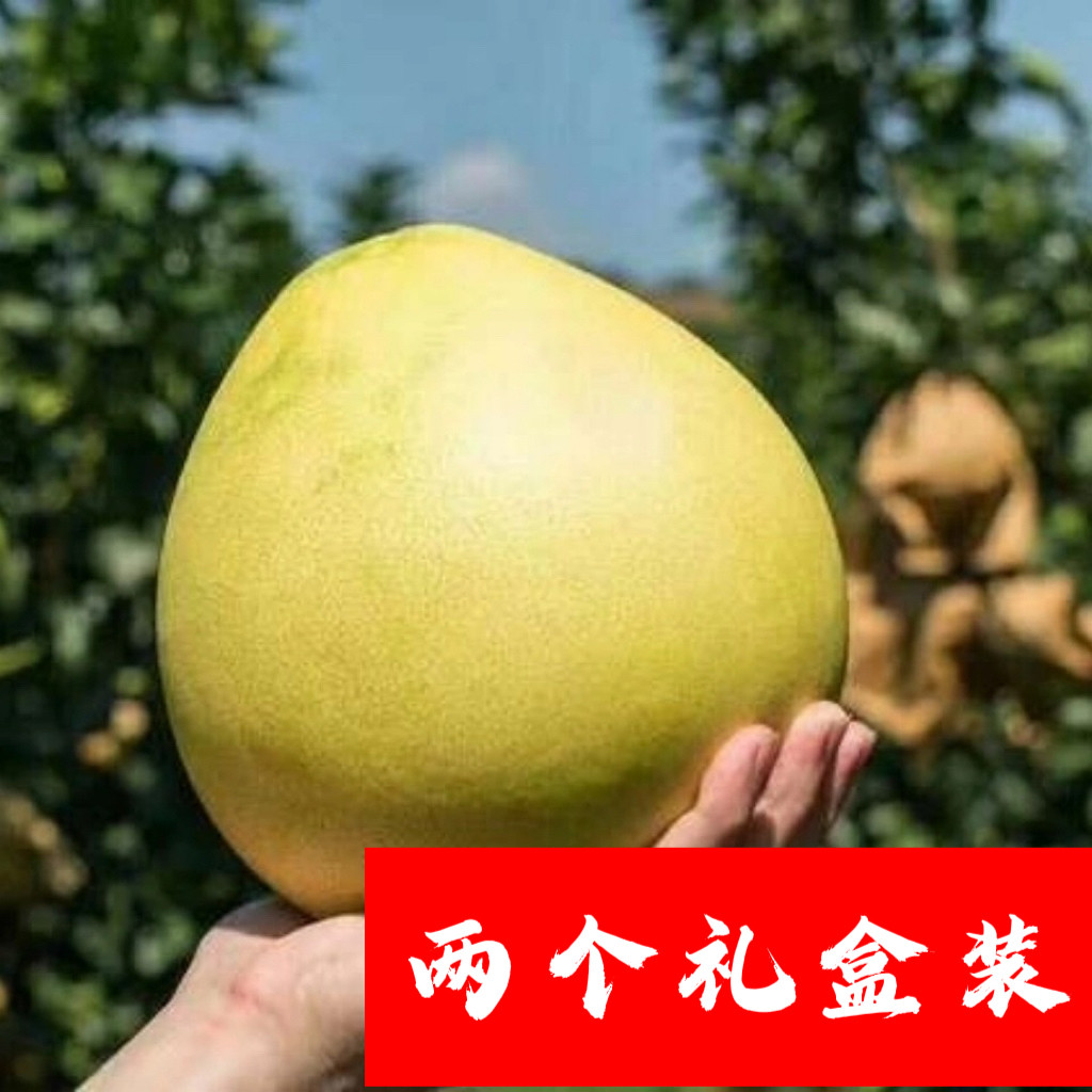 正宗梅州大埔红心蜜柚新鲜时令水果老树红柚果园直销两个礼盒装