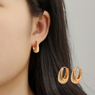独特圈圈耳环2026新款爆款 素圈气质耳扣麻花耳饰女高级感防过敏