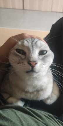 邮费专拍