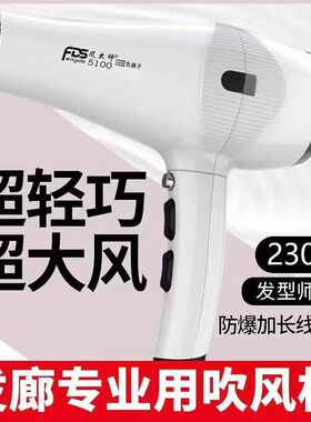 风大师5100型吹风机负离子大功率发廊大风力专用理发店家用电吹风