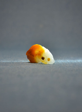 长32红皮白玉独籽料金鱼挂坠手牌