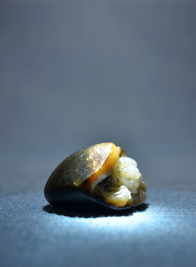 新疆和田玉黑皮黄沁独籽龙龟把件