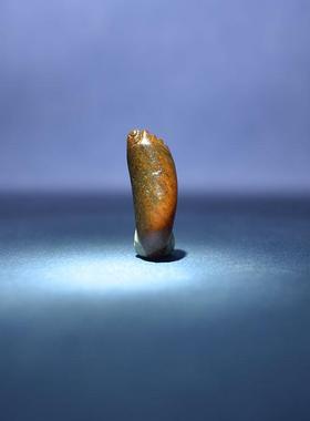 和田玉黑皮黄沁独籽料知足常乐