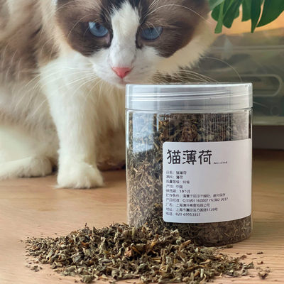 纯度很高全是猫薄荷猫咪很难喜欢