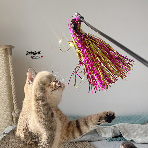 2支装闪闪逗猫棒响纸穗穗