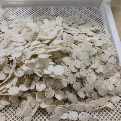 脱水生年糕片干生胚半成品炒货爆米花机膨化烘炒商用1箱25斤9成干
