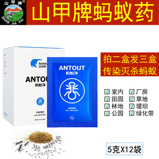 灭蚂蚁药除黄黑小蚂蚁杀虫剂强力红火蚁厨房花盆全窝室内外端家用