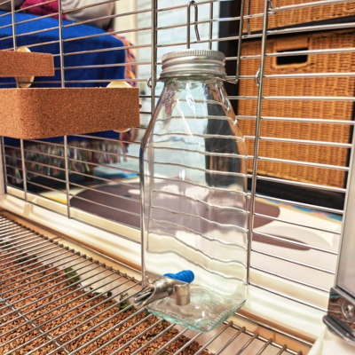 龙猫水壶撞针防咬兔子鹦鹉兔兔荷兰猪松鼠玻璃喂水器饮水