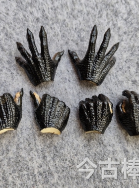 1/6兵人模型现代潮流科幻AVP铁血战士怪物 爪子手型