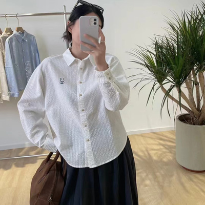 独特肌理感颗粒纹纯棉长袖衬衫女秋季新款刺绣衬衣法式小资小上衣