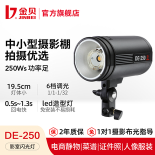 金贝DE250W摄影灯室内闪光灯套装 发丝轮廓灯电商产品专用拍照补光灯 小型影棚证件照肖像照拍摄打光灯人像服装
