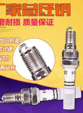 摩托车适用本田CB400马格纳VTEC蓝宝石1-4代小黄蜂VTR铱金火花塞