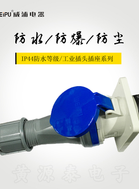 威浦航空工业插头63A3芯TYP641配TYP3901暗装斜式插座防水IP44