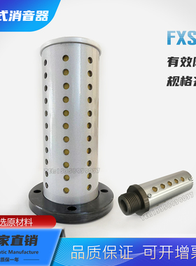 筛板式消声器FSX2a-15/25/20/40/60/F80法兰连接冲床安全阀FXS2a