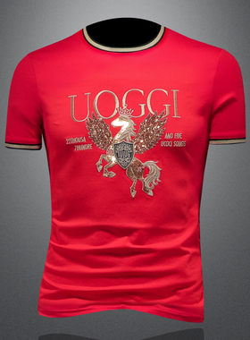 2025夏季欧货 IUIUG轻奢潮流刺绣丝光棉短袖t恤男 D320-88012-P75