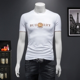 2023夏季新款BUHDILRRY潮流战马丝光棉短袖t恤男D320-87050-P75，男装T恤，电商D320-1
