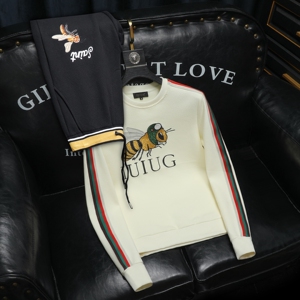 2025秋冬新款 IUIUG轻奢潮流卫衣男休闲运动套装D320-T88172-P260图片
