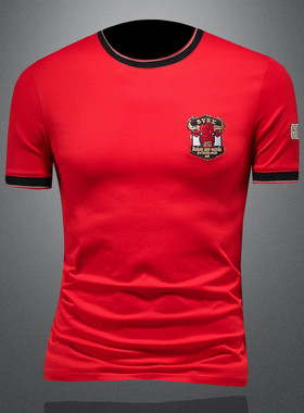 2025夏季欧货 IUIUG轻奢潮流刺绣丝光棉短袖t恤男 D320-88037-P75