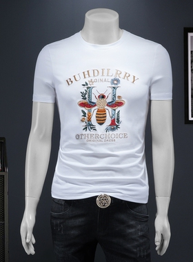 2025夏季欧货 IUIUG轻奢潮流刺绣丝光棉短袖t恤男 D320-87964-P75