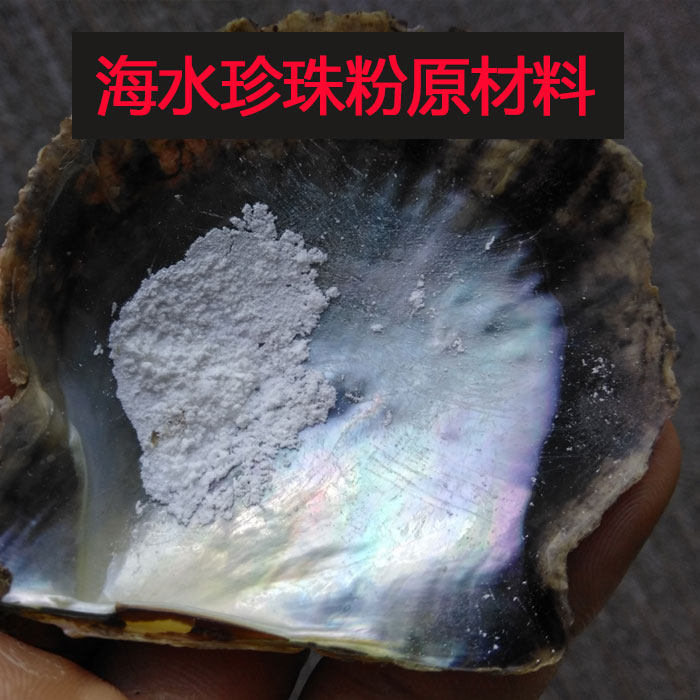 海水蚌壳马氏珍珠贝壳原材料