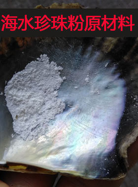 海水蚌壳马氏珍珠贝壳原材料