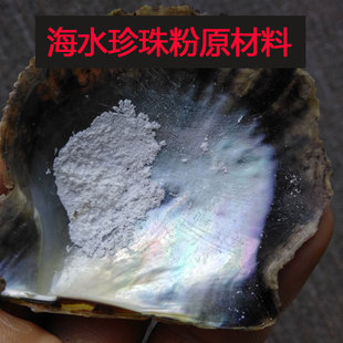 海水蚌壳 马氏贝蚌壳 海水珍珠贝壳 海水珍珠粉原材料 一块