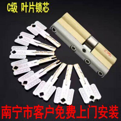 防盗门锁芯叶片家用南宁