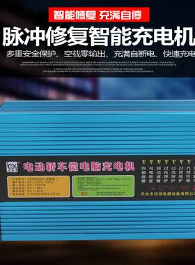新能源电动车三轮车汽车电瓶充电器48V60V72V大功率铅酸充电