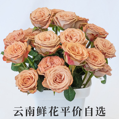 云南鲜花玫瑰百合向日葵平价自选