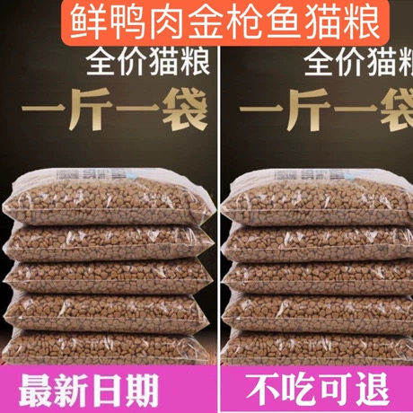 朗猫全阶段中国幼猫成猫
