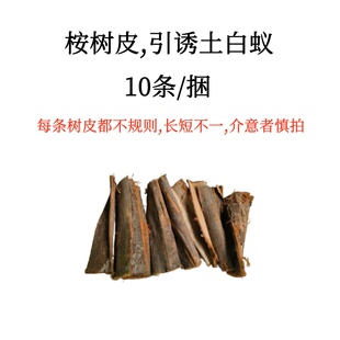 桉树皮堤坝土白蚁监测诱杀装置配套用诱杀箱引诱桩诱杀器