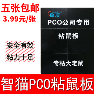 智猫PCO公司粘鼠板粘鼠胶超强力老鼠贴灭鼠器夹家用捕鼠器5张包邮