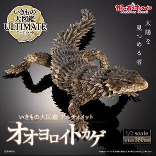 现货正版万代生物仿真图鉴穿山甲犰狳Premium超大30cm可动模型