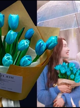 张凌赫同款蓝色郁金香花束生日520表白鲜花延吉花店汪清和龙图们