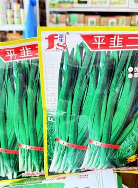 平韭二号韭菜种子一代原种早发高产分孽力强辛辣味浓耐热韭菜籽种