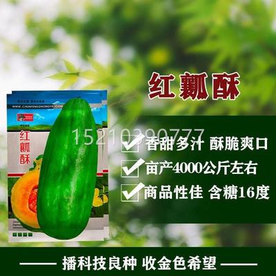 红瓤酥瓜薄皮甜种牛子瓜香瓜种籽季高产角青四UYC皮红壤酥甜瓜羊