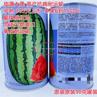 中科茂华中科八号西瓜种子薄皮大果高产抗病耐储运农家春秋播种