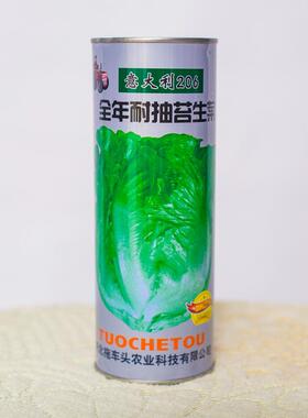 全年菜耐抽菜生叶菜特UOR惠装蔬种子家庭阳台苔易种