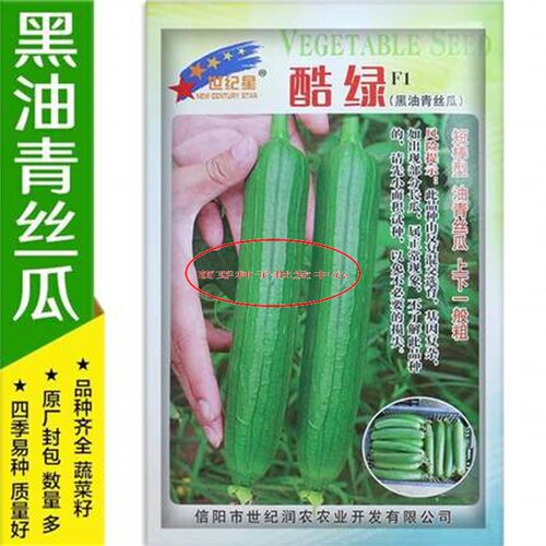 青蛙绿王子酷绿丝瓜种紫高产短绿油2号耐热抗病油亮丝瓜种子孑