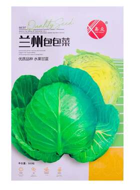兰州包包菜抗病高产水果甘蓝种子莲花白种籽卷心菜包菜种子农家LT