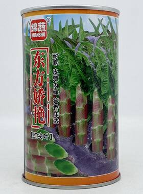 东方骄艳红尖叶青肉莴笋种子耐寒叶片紫红长美火红抗病丰产莴苣孑