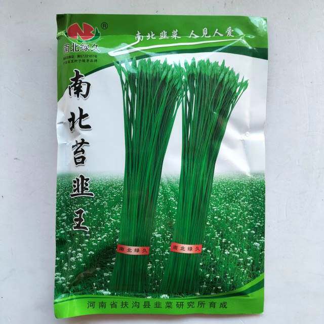 南北四季苔韭王韭菜种子四季抽薹直立抗倒速生大田高产苔韭菜种籽
