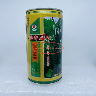 津春4号黄瓜种子高产抗病肉厚绿瓤质脆味甜瓜种籽亩产1.5万斤左右