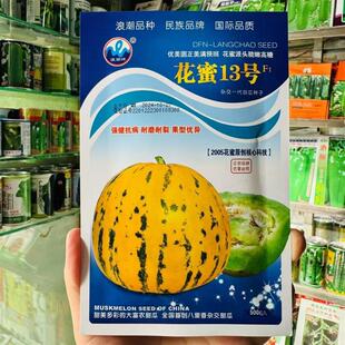 浪潮花蜜13号甜瓜种子 八里香薄皮豹纹绿肉高产抗病甜瓜500粒一包