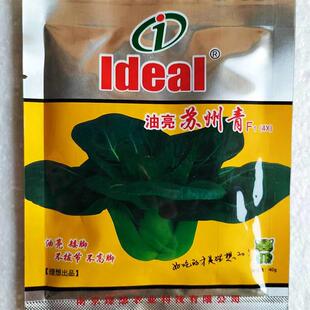 理想油亮苏州青种四倍体矮脚子束腰青菜口青感糯梗菜软春秋季HCL