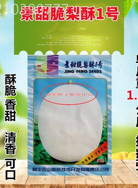 景甜脆梨酥1号甜瓜种籽春秋季高产特大超甜白皮香瓜种子四季水果