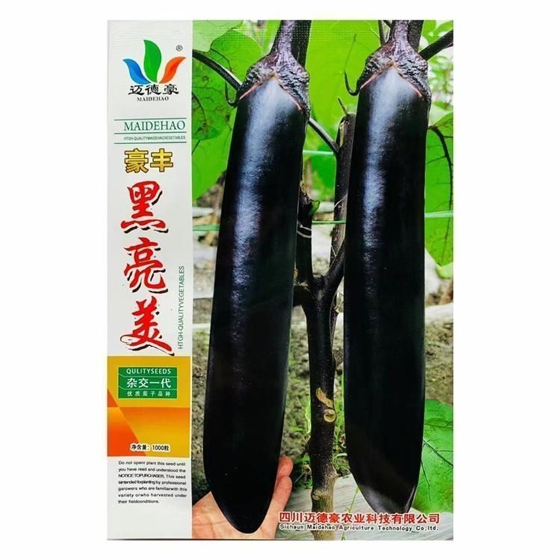 黑亮美茄子种子早熟紫黑长茄种籽春秋播杂交黑茄子果肉淡绿四季播